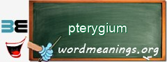 WordMeaning blackboard for pterygium